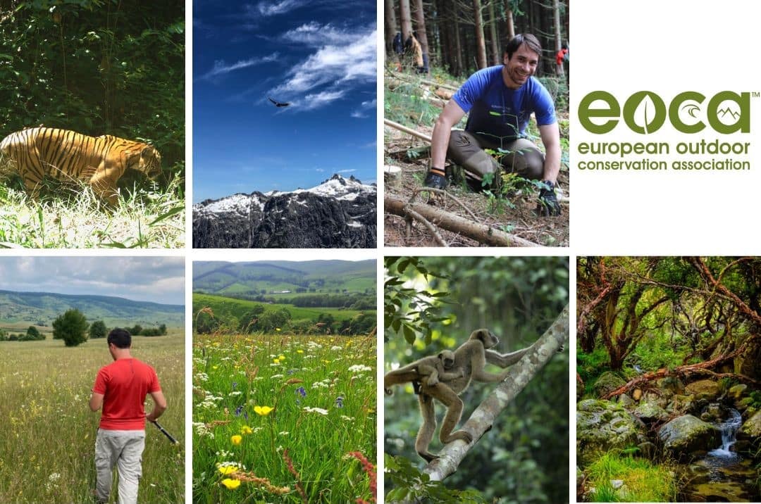 EOCA Selects Four New Conservation Projects For Funding Support